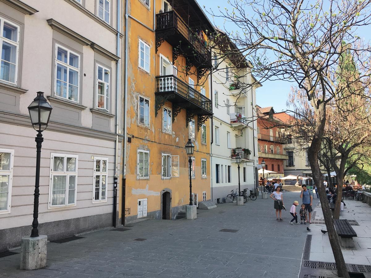 River And Castle View Apartment Rose Tour As Laibach Exterior foto