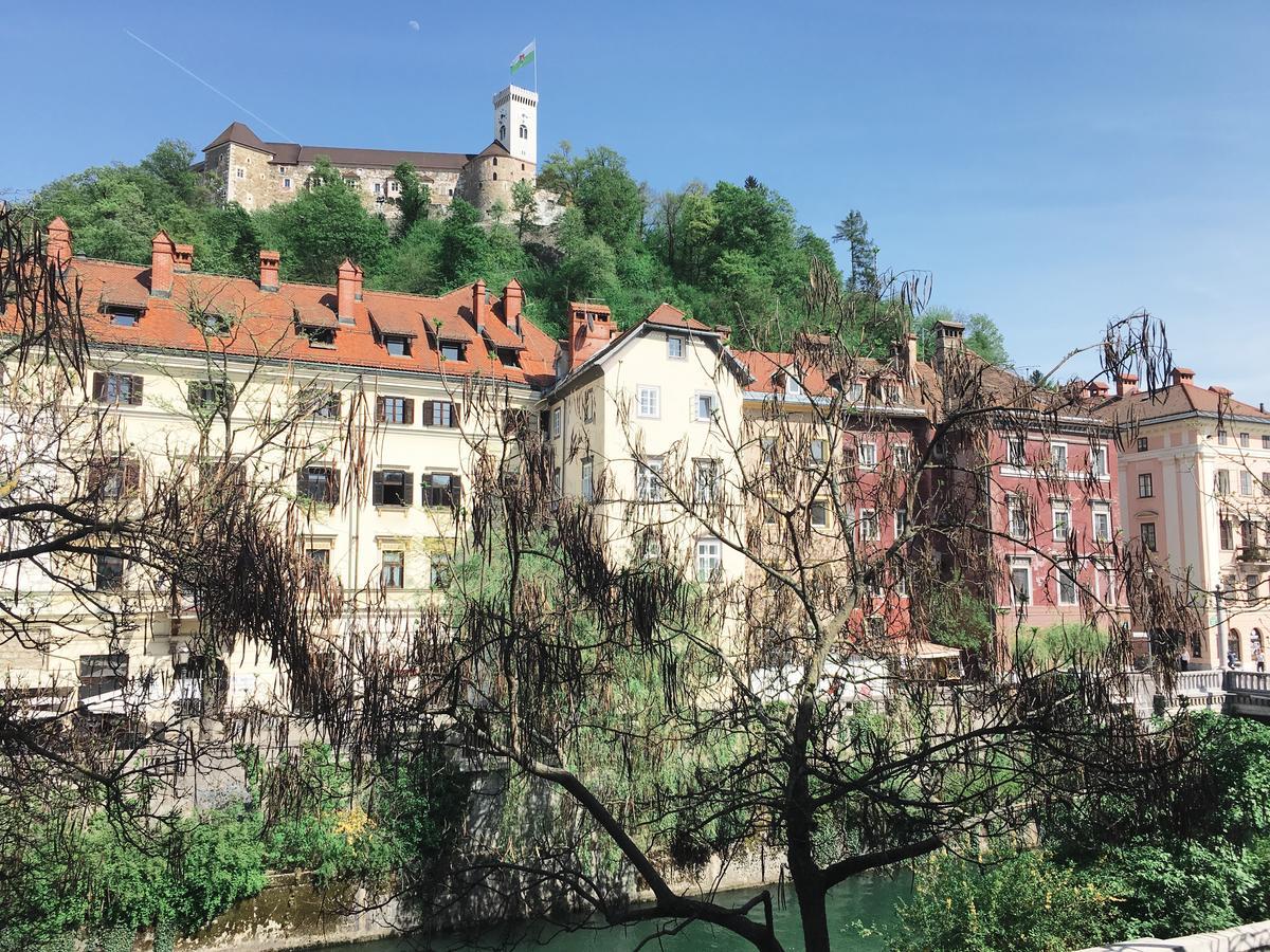 River And Castle View Apartment Rose Tour As Laibach Exterior foto